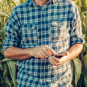 Farmer using smartphone in corn field